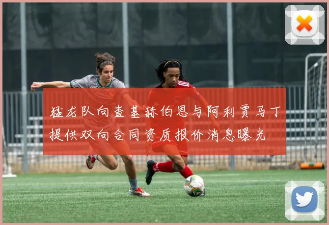猛龙队向查基赫伯恩与阿利贾马丁提供双向合同资质报价消息曝光