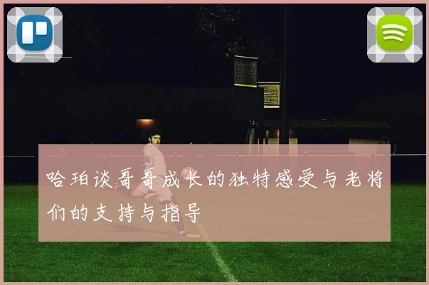哈珀谈哥哥成长的独特感受与老将们的支持与指导